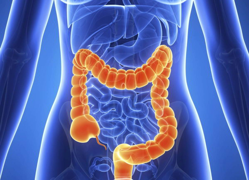 Hình ảnh đại tràng