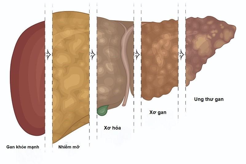 Lối sống kém khoa học