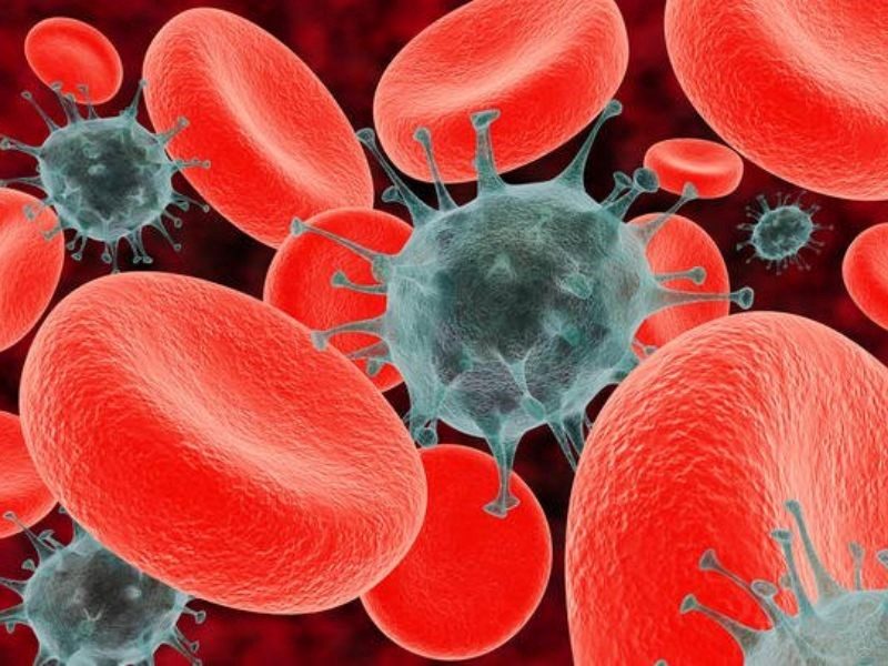 Ung thư máu giai đoạn cuối đe dọa tới tính mạng của người bệnh