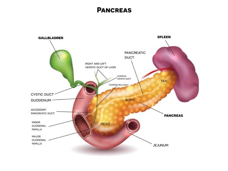 Dấu hiệu ung thư tuyến tụy giai đoạn 1