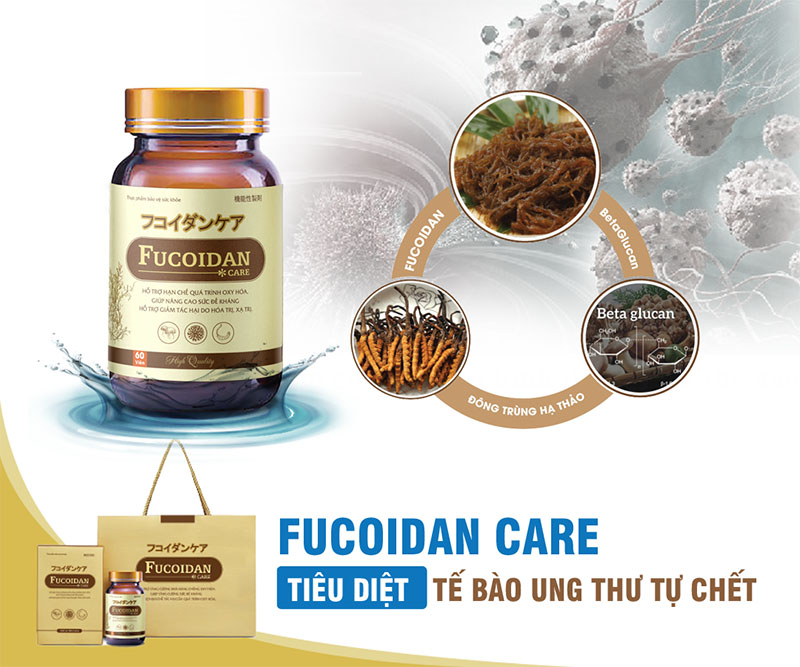 Fucoidan Care giúp hỗ trợ điều trị ung thư hiệu quả