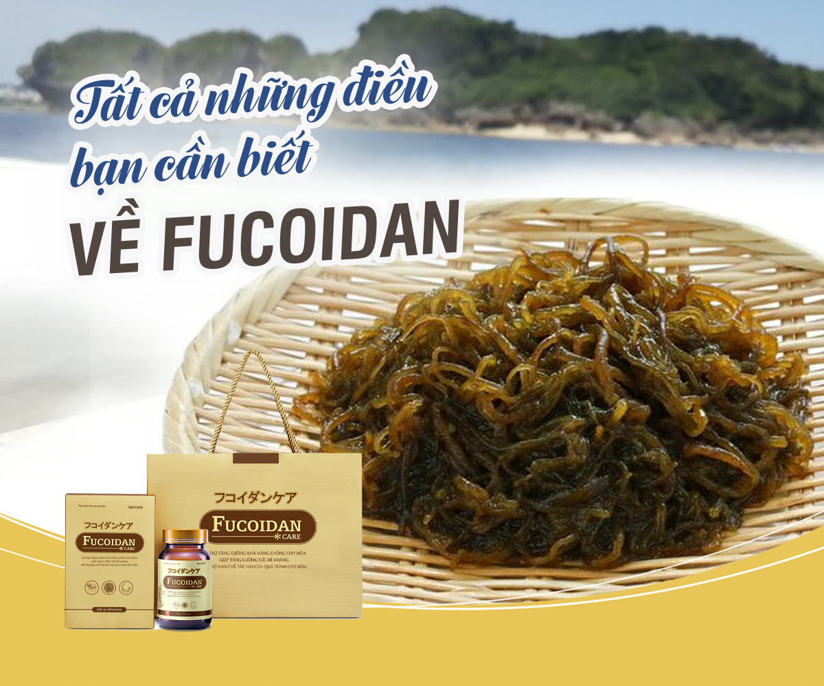 Fucoidan giúp điều trị ung thư như thế nào?