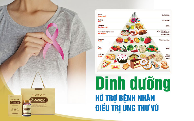 Dinh dưỡng hỗ trợ bệnh nhân điều trị ung thư vú