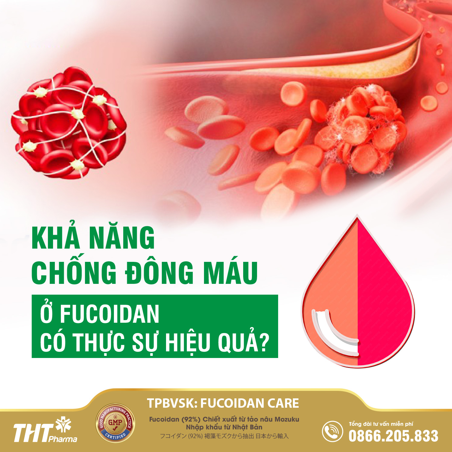 Fucoidan hỗ trợ chống rối loạn đông máu có hiệu quả không?