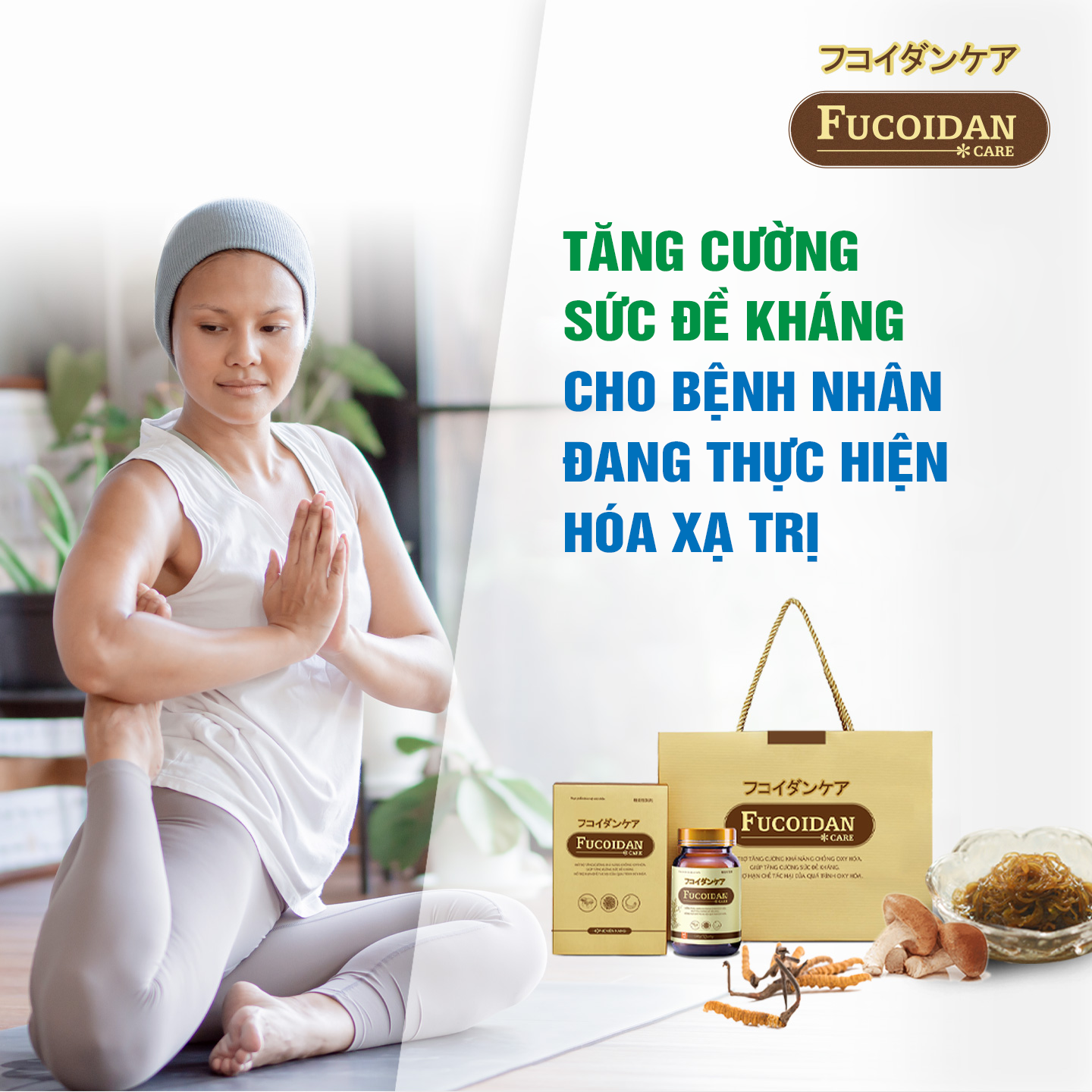 Tăng cường sức đề kháng cho bệnh nhân ung thư đang thực hiện hóa xạ trị