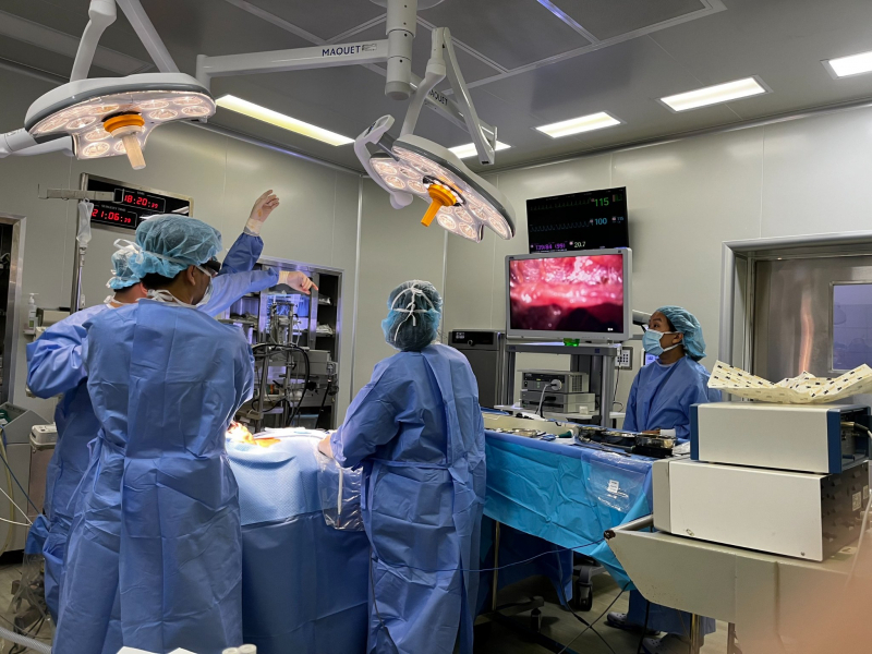 Chi-phi-phau-thuat-cat-tuyen-giap