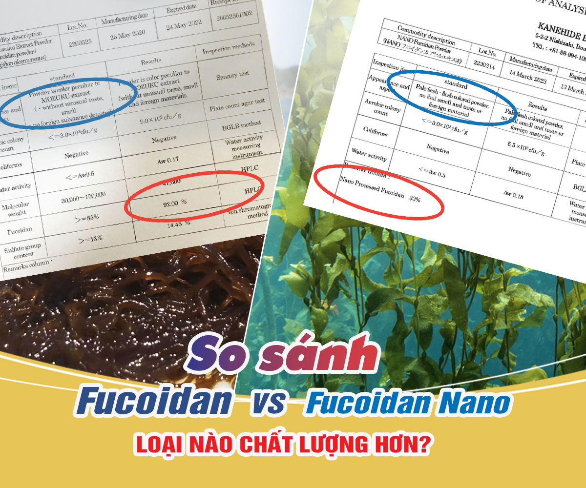 So sánh Fucoidan và Fucoidan Nano