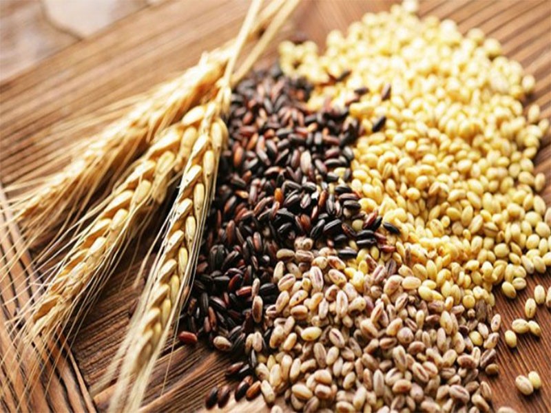 Ngũ cốc tinh chế