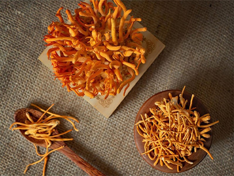 Tác dụng chống lão hóa hiệu quả