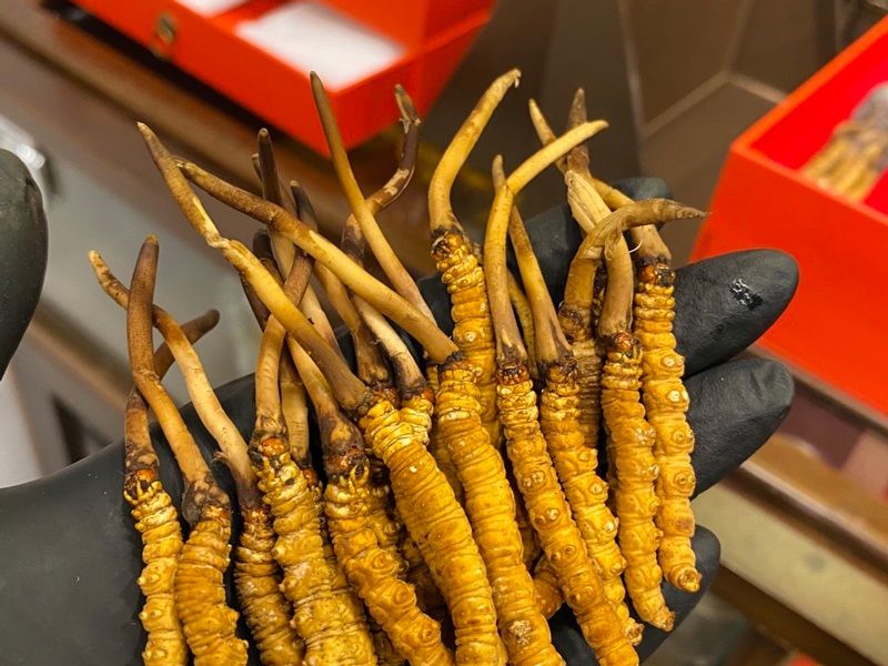 Tác dụng kháng viêm hiệu quả