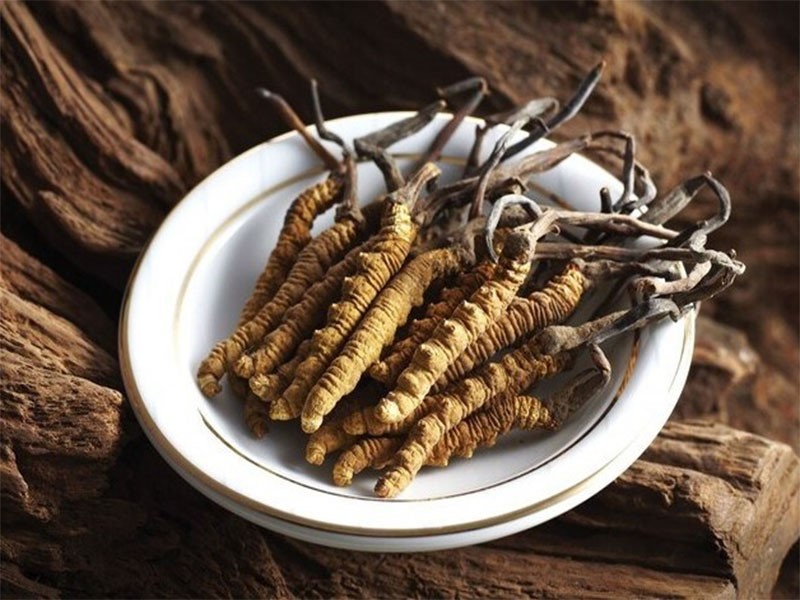 Tác dụng ổn định đường huyết