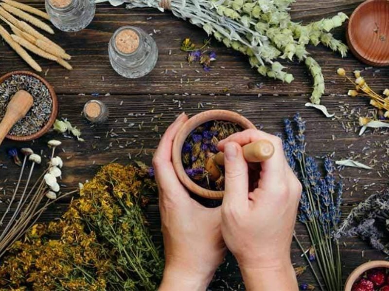 Cây thuốc nam chữa ung thư dạ dày có hiệu quả không?